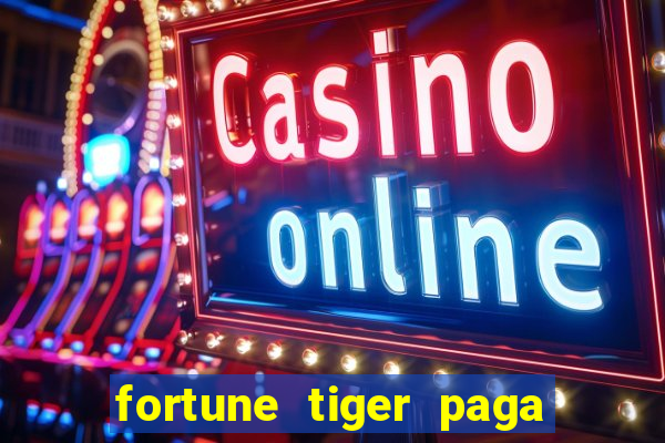 fortune tiger paga de madrugada